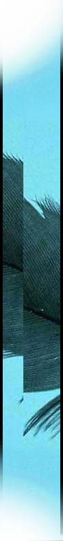 recordings